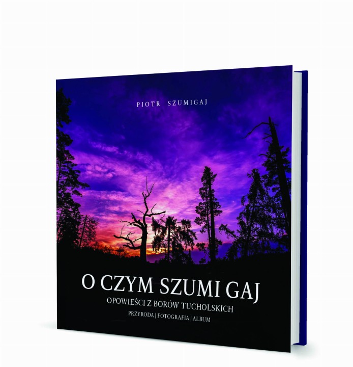 Szumigaj_Album_okładka_wybrana 3D.jpg