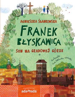 Franek Błyskawica .jpg